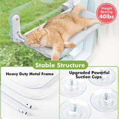 Zoratoo perchoir-fenêtre-chat ventouses renforcées, adhérence fiable