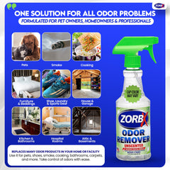 ZORBX dans le salon pour neutraliser les odeurs domestiques sans parfum.