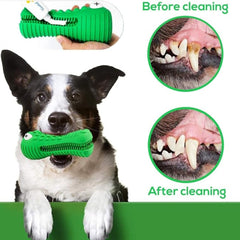 ZP-PY Alligator — emplacement dents pour dentifrice ou beurre.