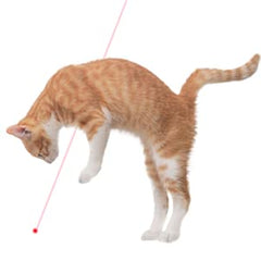 Zugesify Pointeur Laser Chat Blanc: jeu intérieur sûr et stimulant.