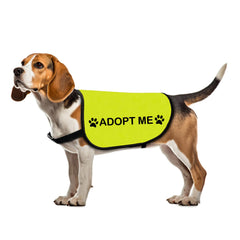 Zuo Bao gilet-chien-sauvetage adoptez-moi petit, confort premium pour promenades et sorties.