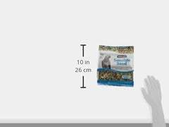 ZuPreem Sensible Seed – perroquet-en-action montre le plaisir du picorage et de l’exploration.