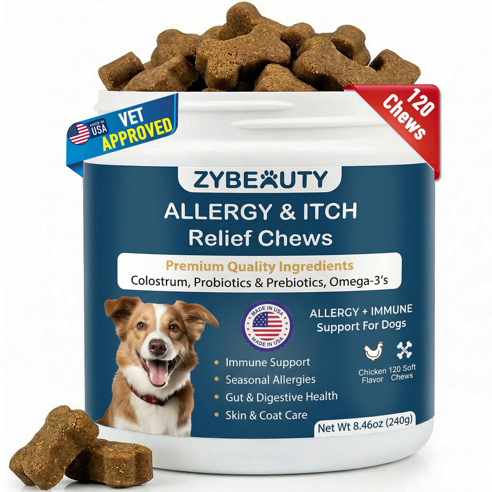 Bouchées ZyBeauty dans la jarre, soutien potentiel des allergies chez le chien.