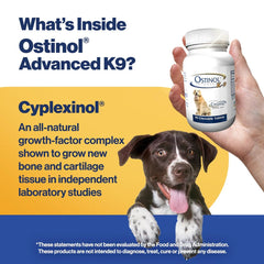 ZyCal Ostinol Advanced K-9 – arôme bœuf, texture agréable pour chiens.