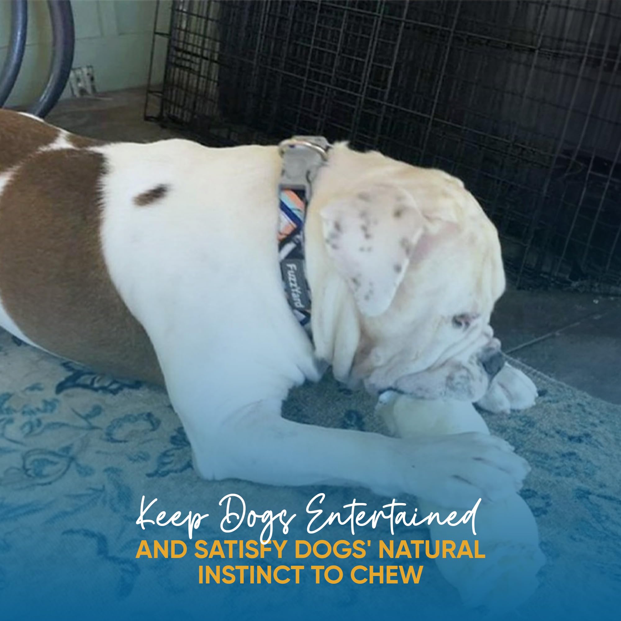 123 Treats Produit naturel et pur sans additifs artificiels