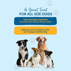 123 Treats Utilisation quotidienne des rouleaux pour chien actif