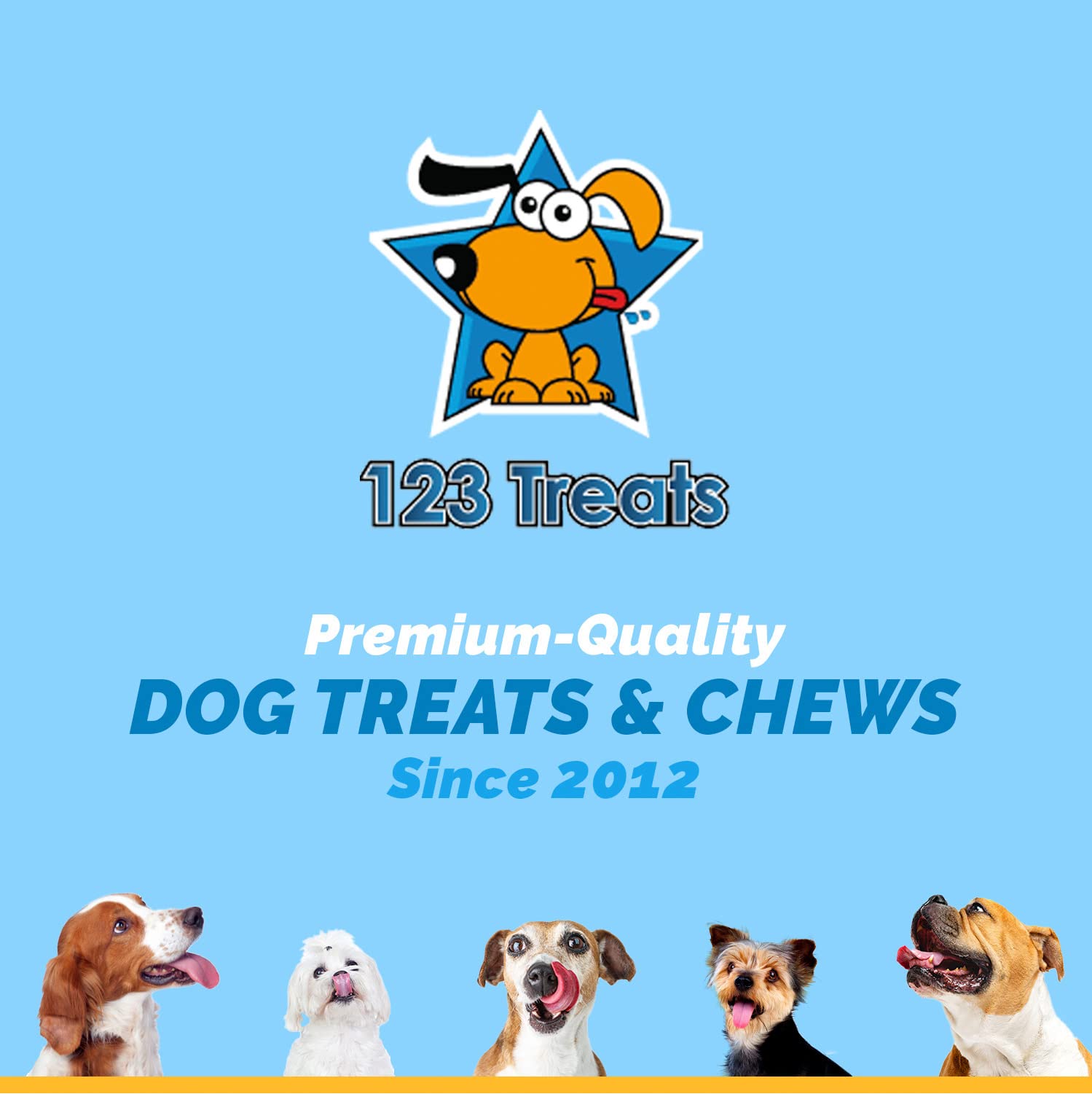 123 Treats – portion de 2 livres, friandise robuste pour chiens moyens et grands.