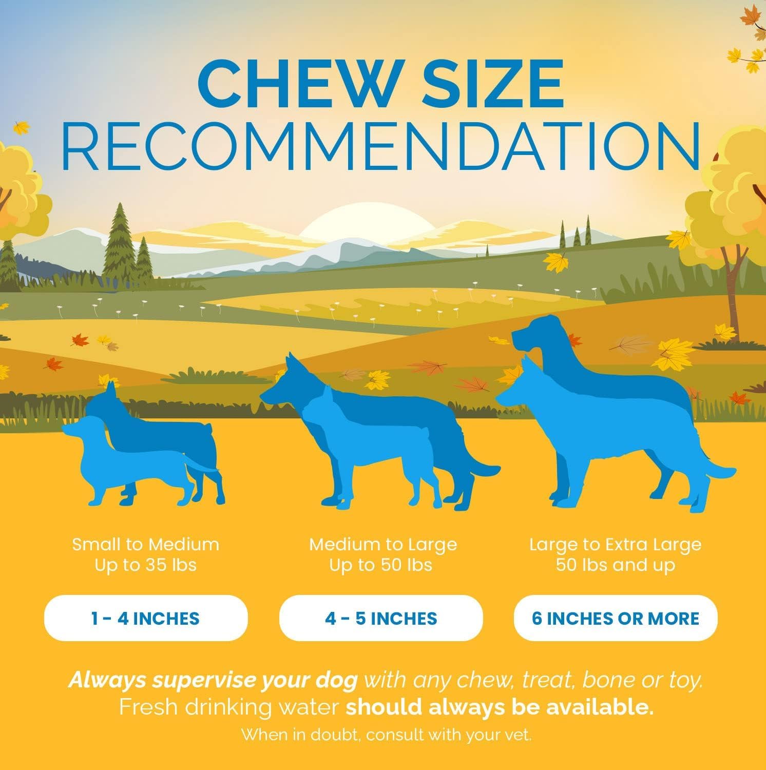 Récompense canine prête à offrir, moments de plaisir et satisfaction