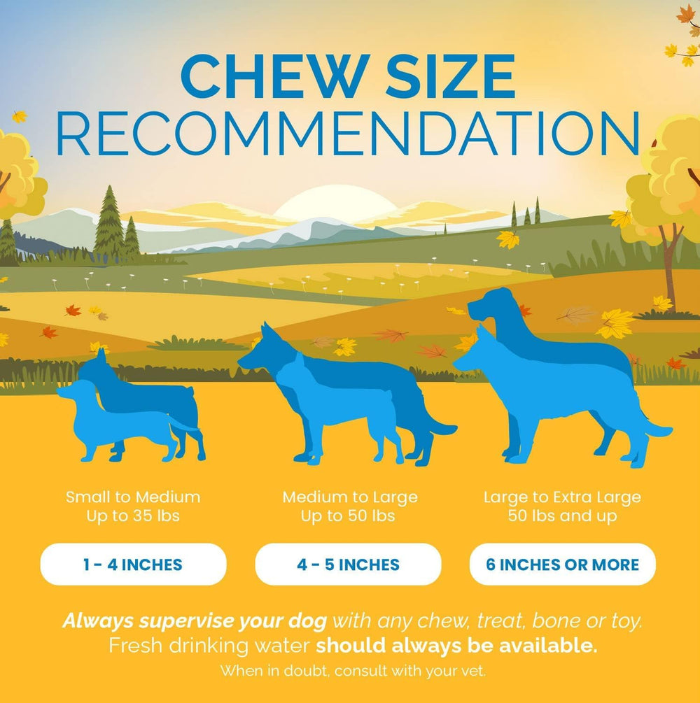 Récompense canine prête à offrir, moments de plaisir et satisfaction
