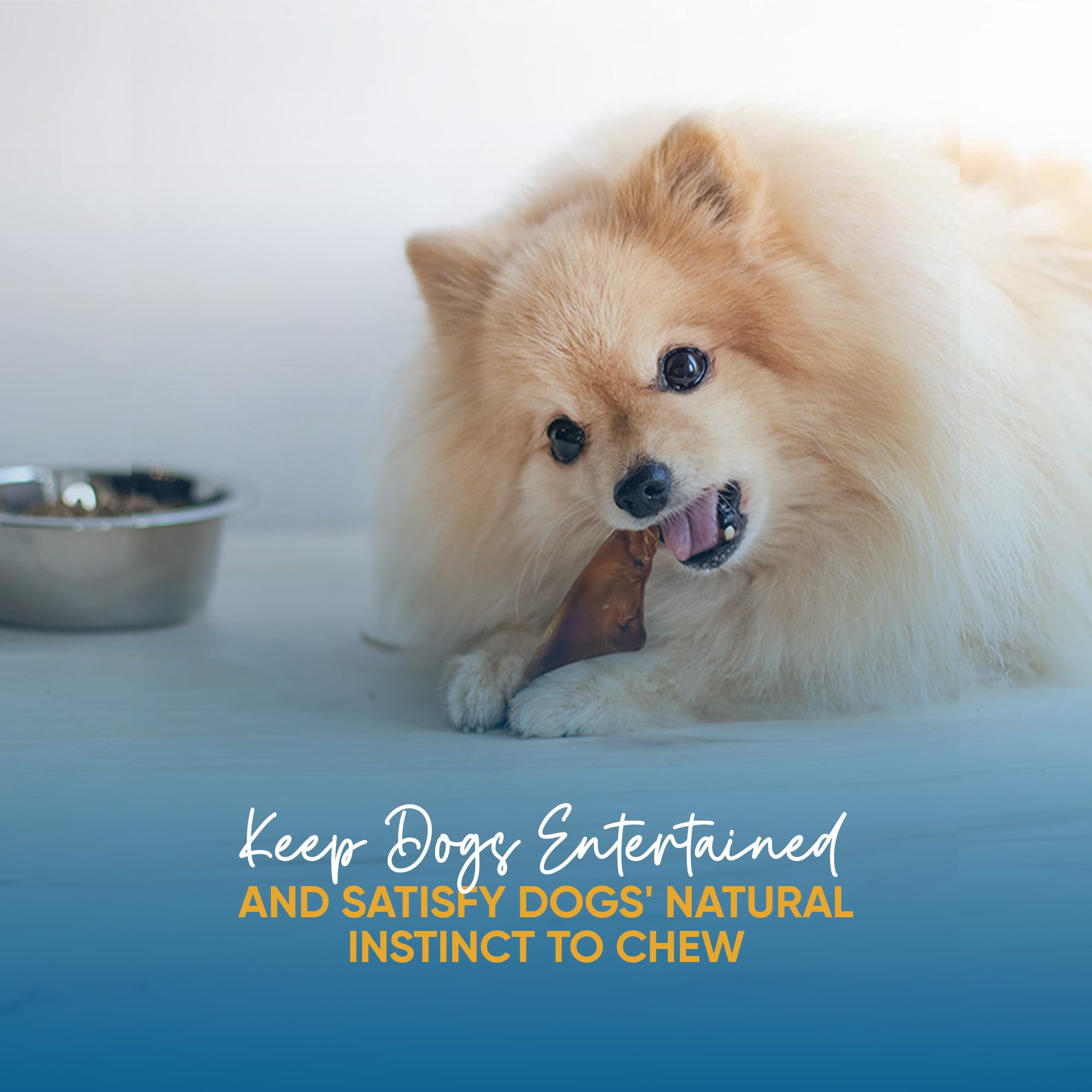 123 Treats chien grignote, oreilles de porc idéales pour l'enrichissement