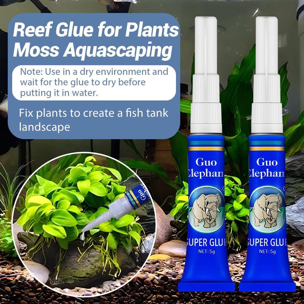 Colle Aquarium 1DFAUL – application sur plante, fixation durable.