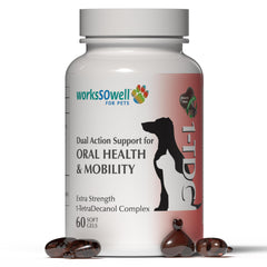 1TDC WorksSoWell, pot-supplements-mobilité-articulations, soutien quotidien pour chiens et chats actifs.