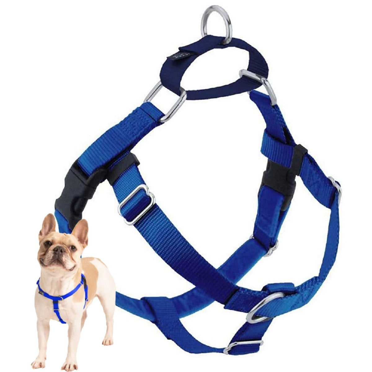 2 Hounds Design Freedom harnais anti-traction pour promenades fluides.