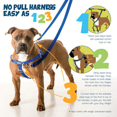 Harnais Freedom No Pull de 2 Hounds Design — anneau avant pour guidage sûr.