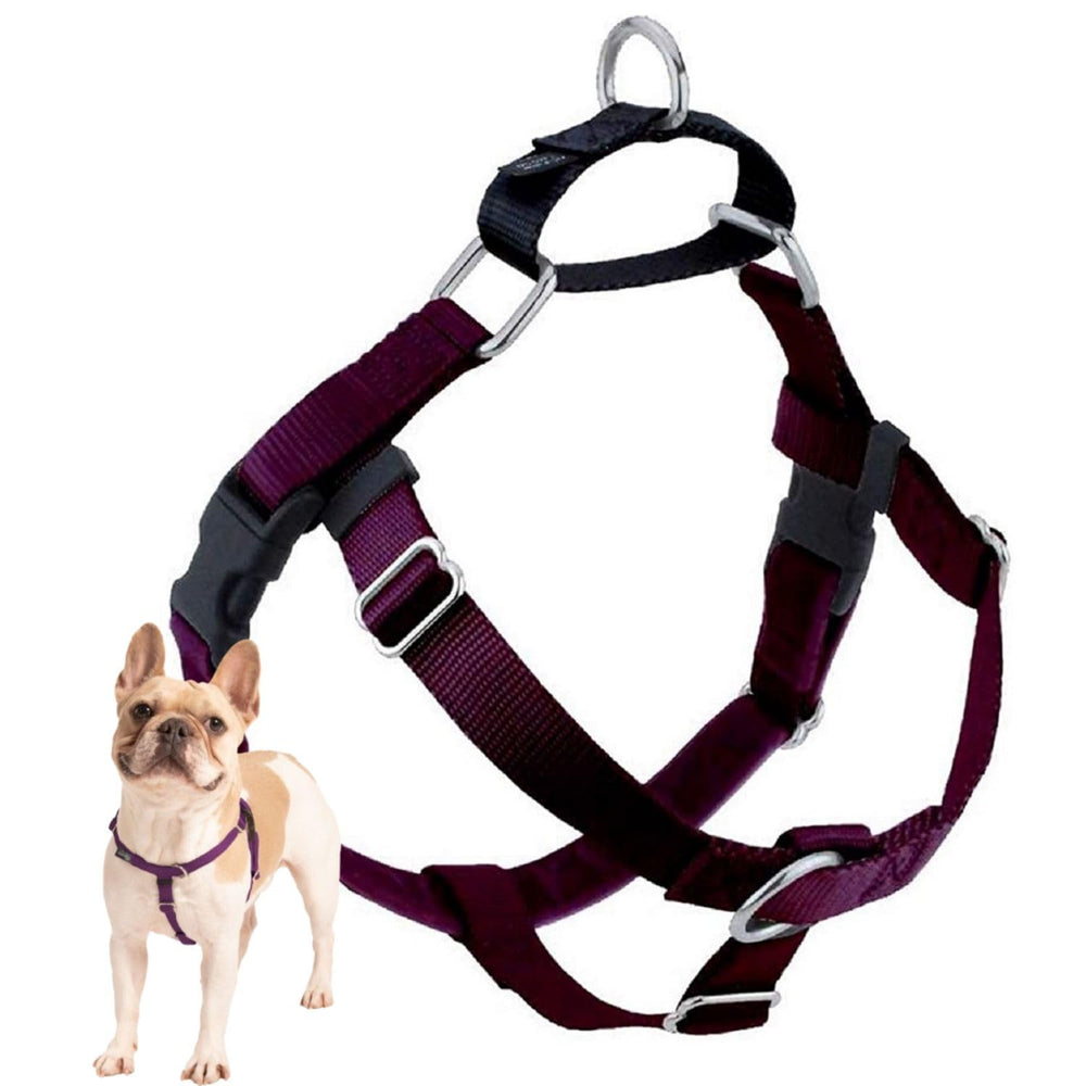 Harnais Freedom No Pull de 2 Hounds Design — vue avant, contrôle renforcé lors des balades.
