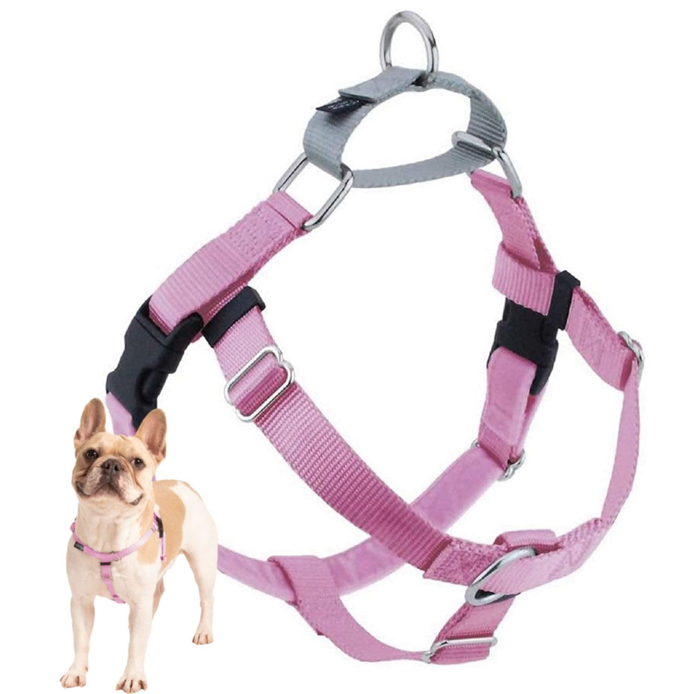 Harnais Freedom de 2 Hounds Design, avant, pour promenades plus contrôlées et confortables