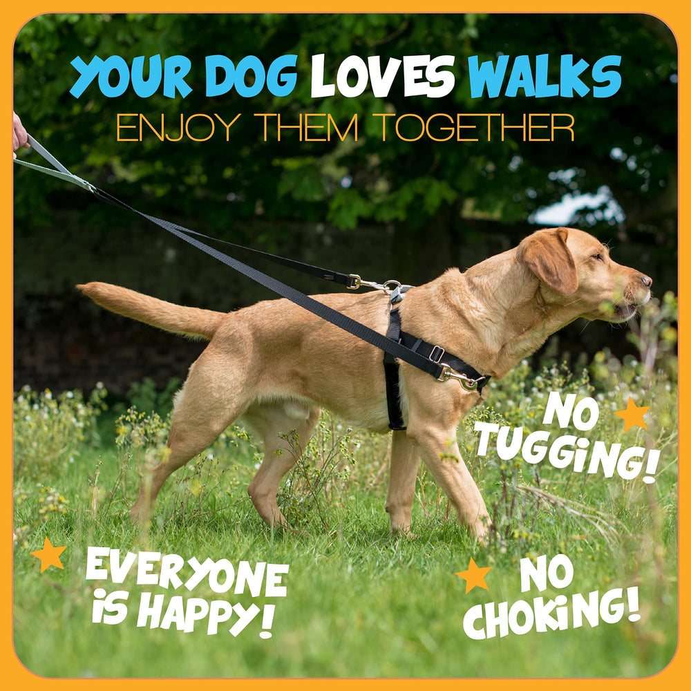 Matériaux en acier inoxydable et nylon robuste pour la durabilité.