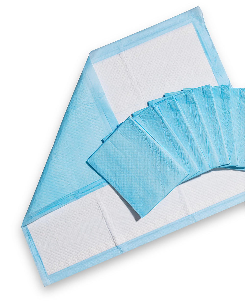 24/7 BAGS couches chiots xl conseils d’utilisation et support client