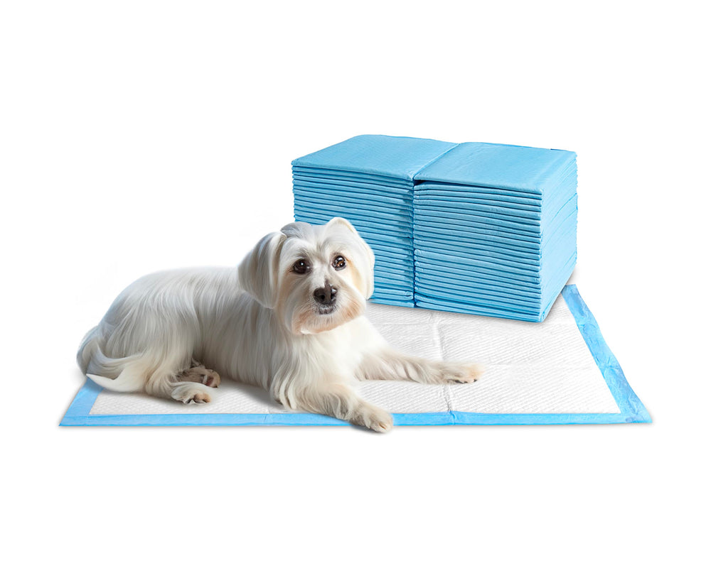 24/7 BAGS couches chiots xl neutralisation odeurs pour une maison plus fraîche