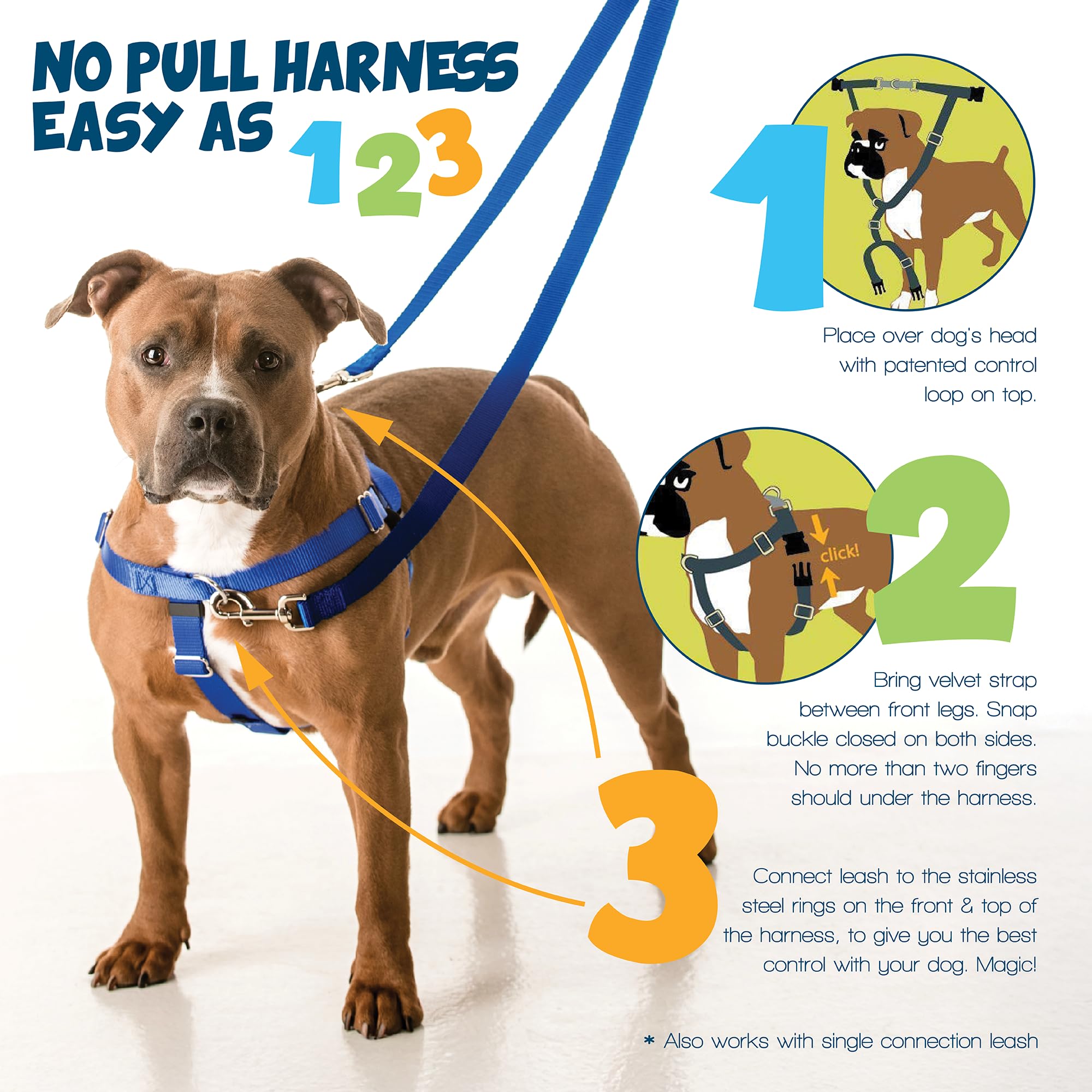 2 Hounds Design Freedom, doublure en velours suisse pour le confort.