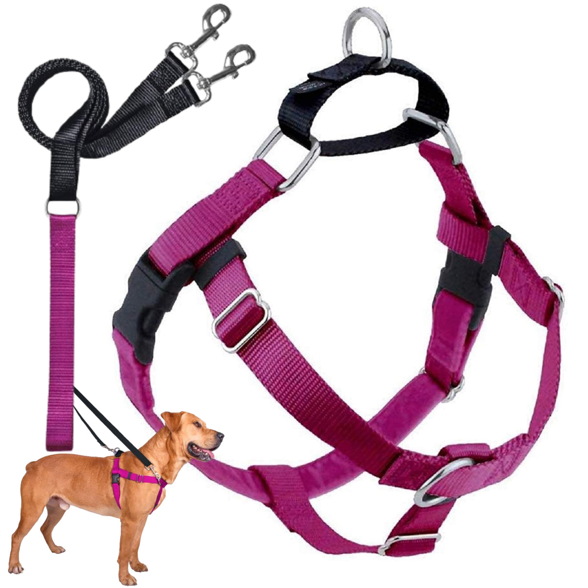 2 Hounds Design Freedom harnais anti-tir, vue avant pour un contrôle amélioré.