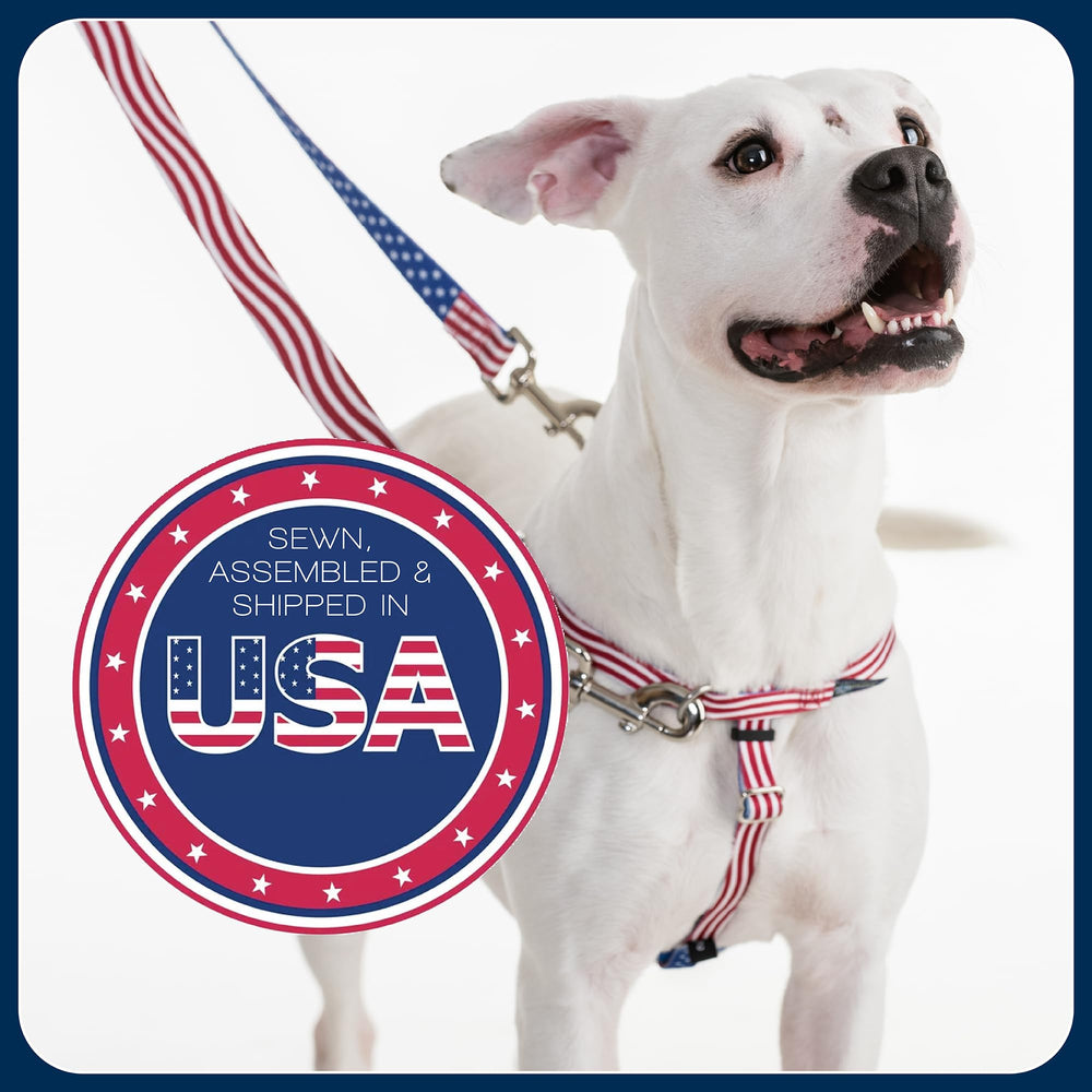 2 Hounds Design Freedom, mesure taille facile pour un ajustement précis.