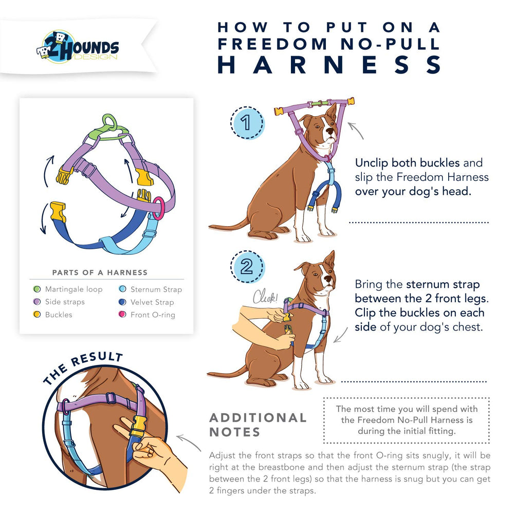 2 Hounds Design guide tailles et ajustement précis pour tous les chiens