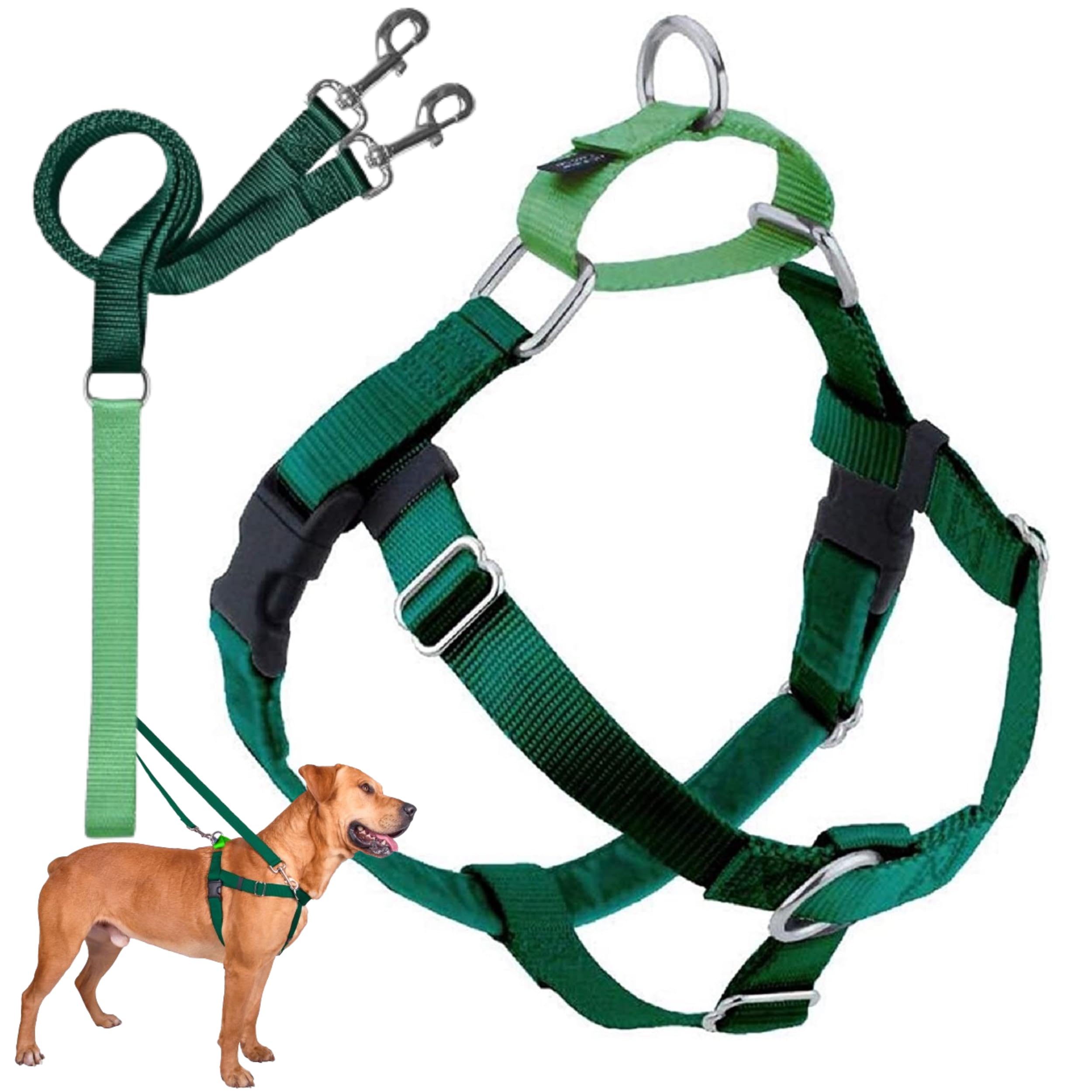 Harnais Freedom 2 Hounds Design sur chien, contrôles sécurisés et confort