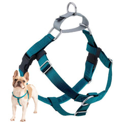 Harnais Freedom de 2 Hounds Design, anti-tirage pour promenades plus calmes