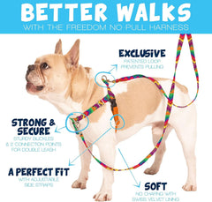 Détail avant avec attache frontale guidant le chien sans tirage.