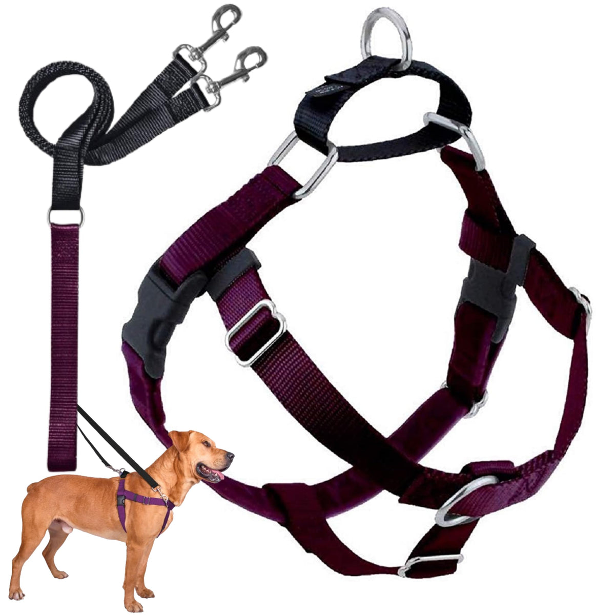 Harnais Freedom sans tirage 2 Hounds Design pour un contrôle fluide