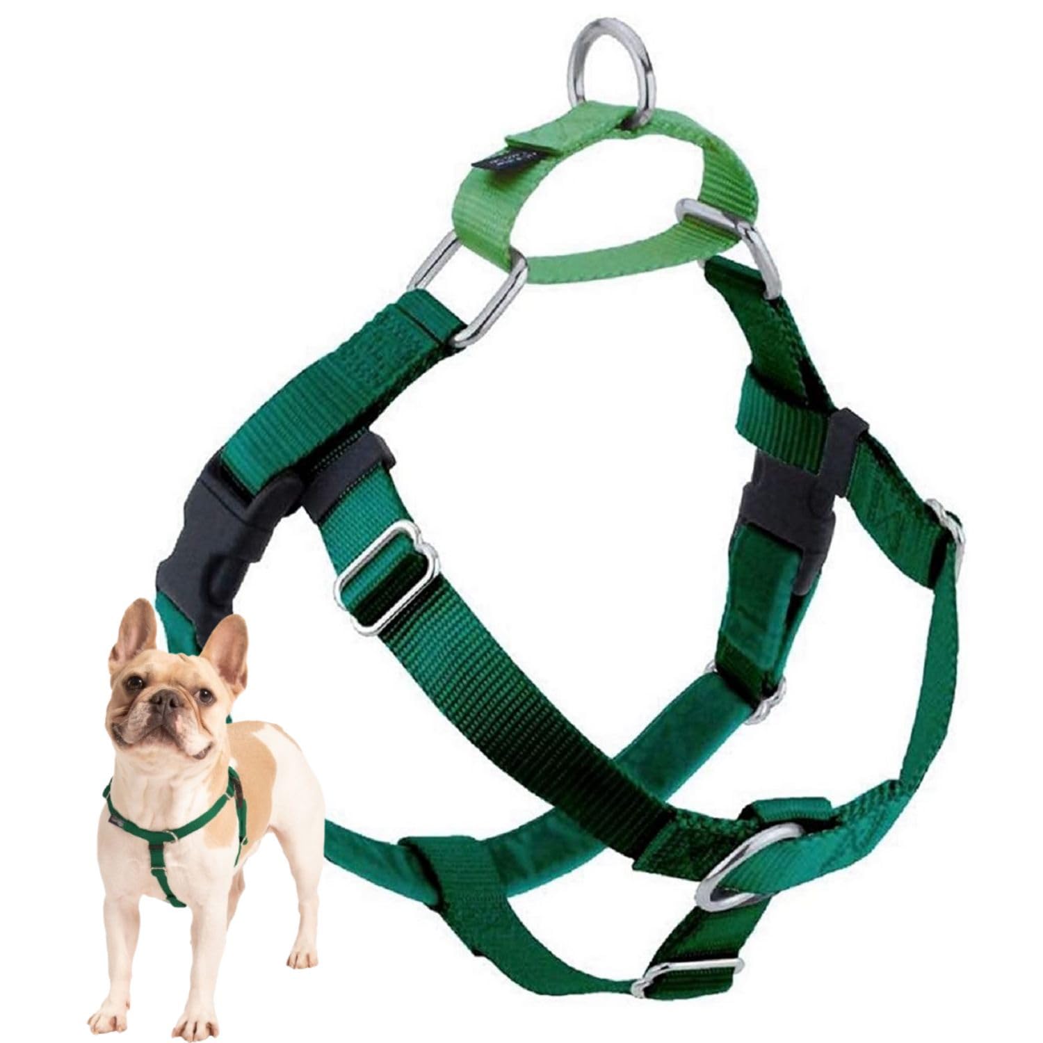 Harnais Freedom de 2 Hounds Design avec doublure Swiss Velvet pour promenades calmes.