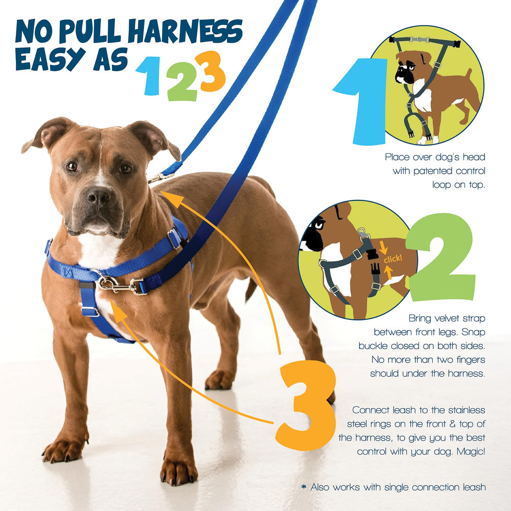 Quatre points de réglage du harnais 2 Hounds Design