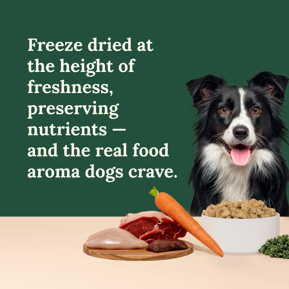 360 Pet Nutrition – bouchées faciles à servir, adaptées à toutes les tailles de chien.