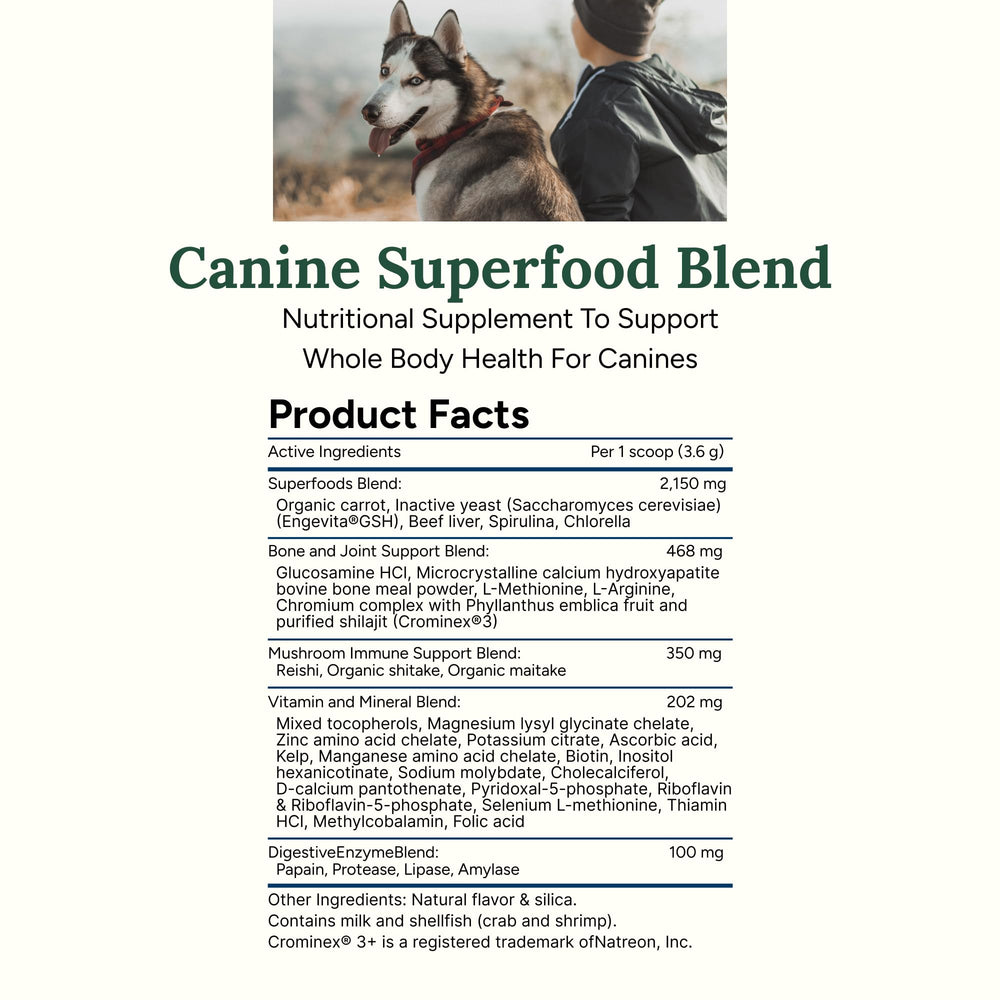 360 Pet Nutrition Canine Superfood Boost : stimulation immunitaire grâce aux champignons