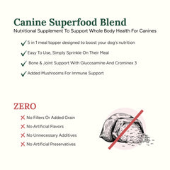 360 Pet Nutrition Canine Superfood Boost : soutien des articulations pour des mouvements fluides