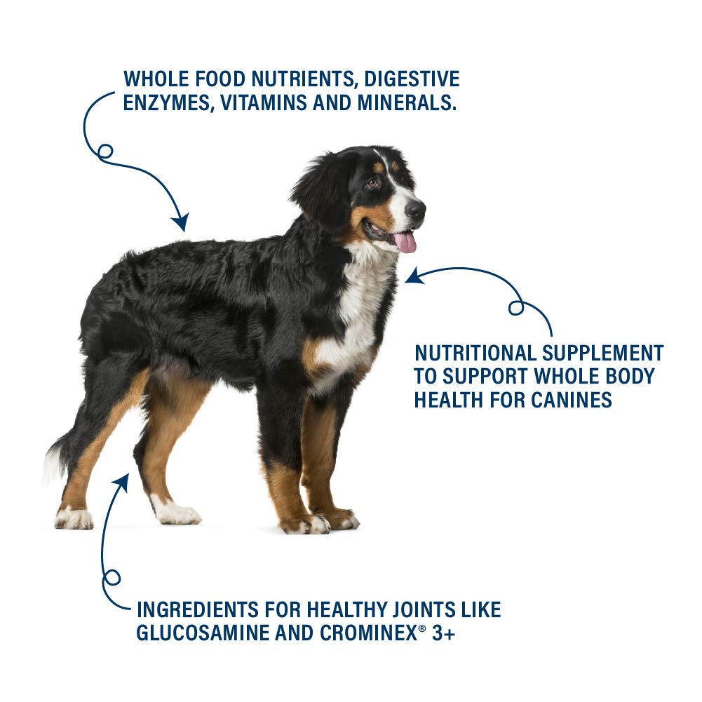 360 Pet Nutrition Canine Superfood Boost : soutien digestif pendant les repas
