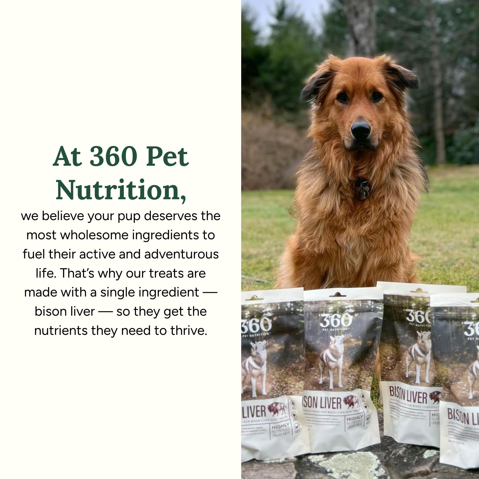 360 Pet Nutrition fabriqué aux Etats-Unis, friandises naturelles