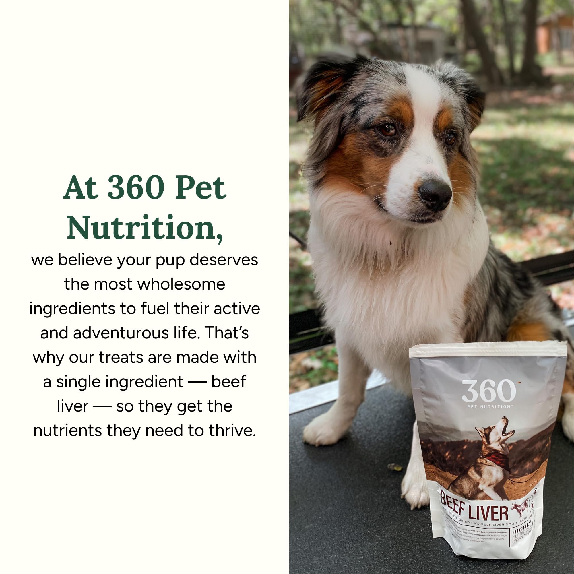 Format 4 oz 360 Pet Nutrition, collations faciles à emporter