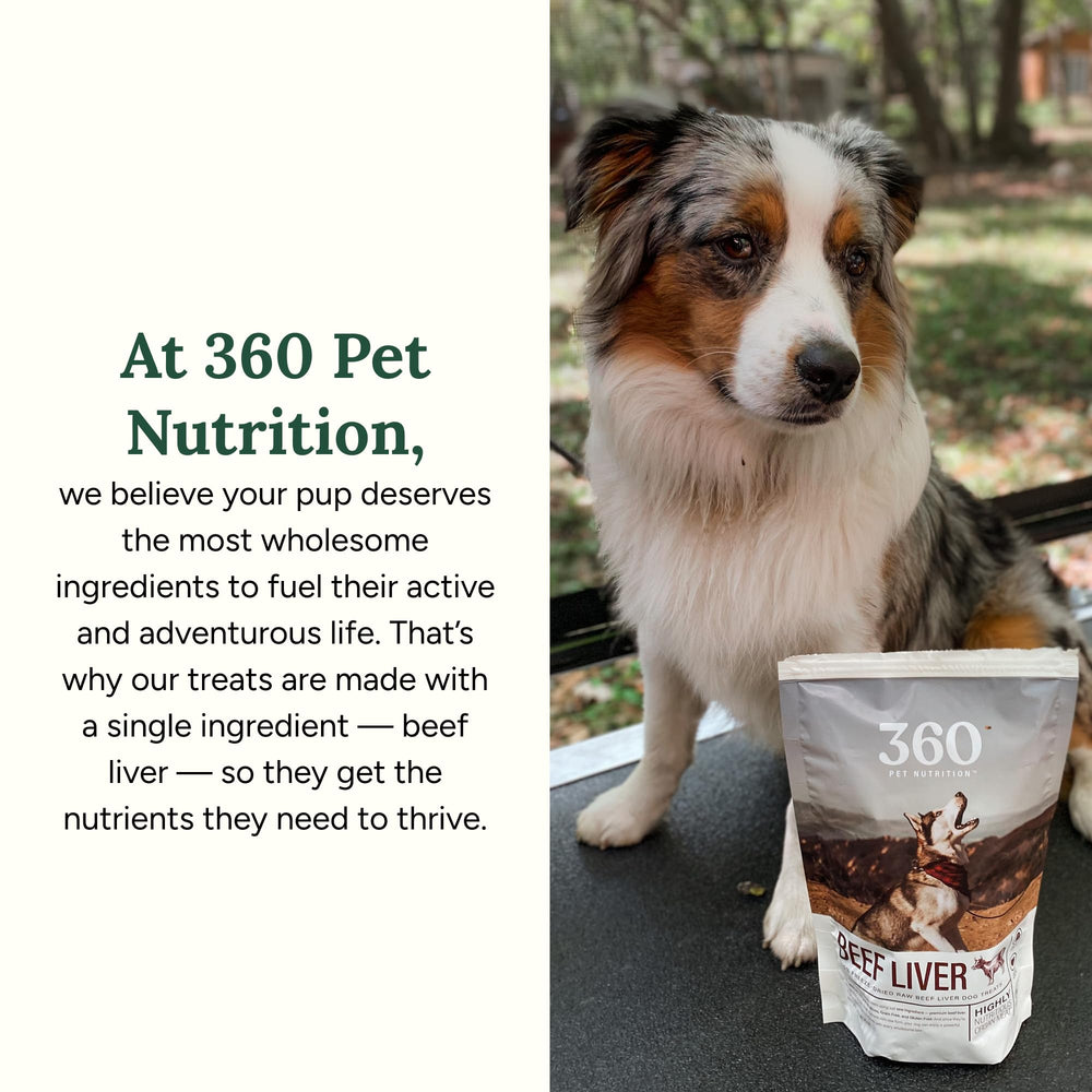 Format 4 oz 360 Pet Nutrition, collations faciles à emporter