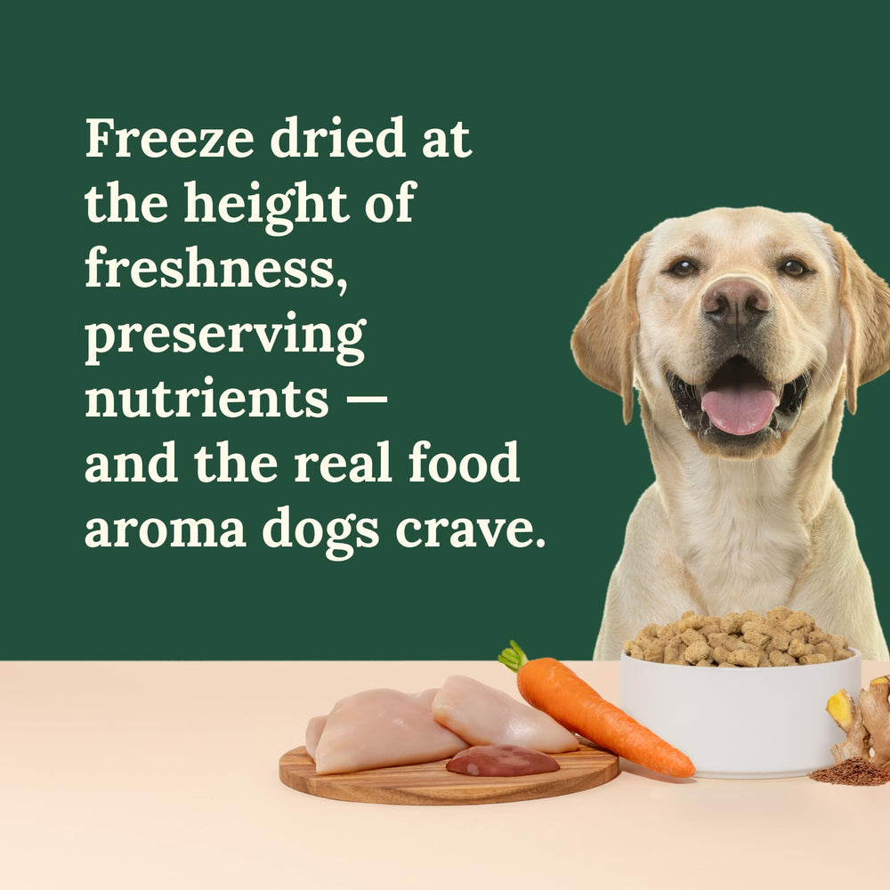 360 Pet Nutrition morceaux-petites-taille: portions adaptées à toutes tailles de chiens.