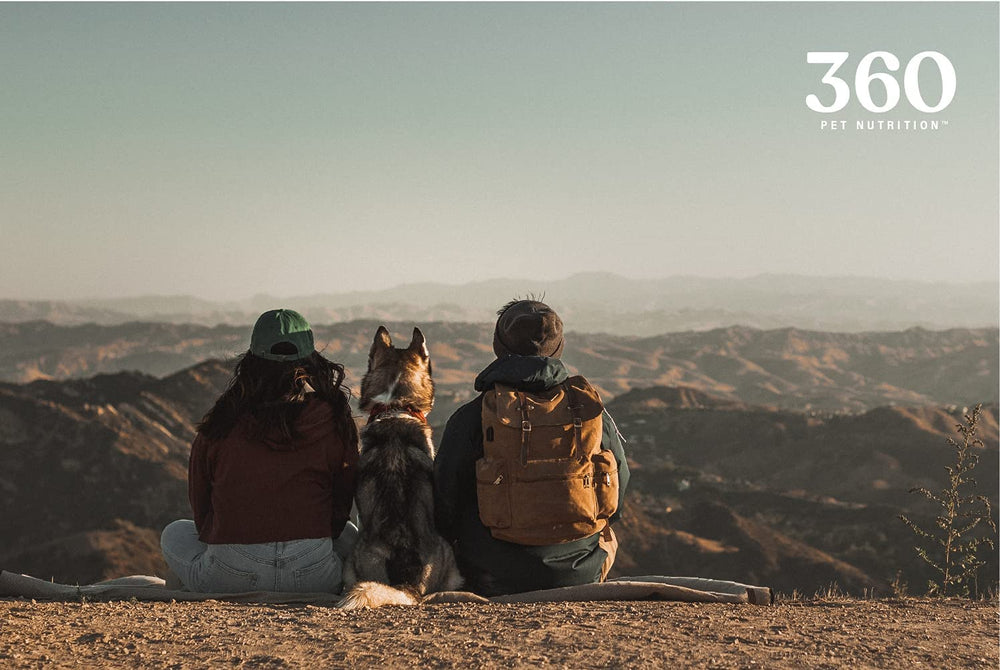 360 Pet Nutrition récompense d’entraînement avec bouchées faciles à donner