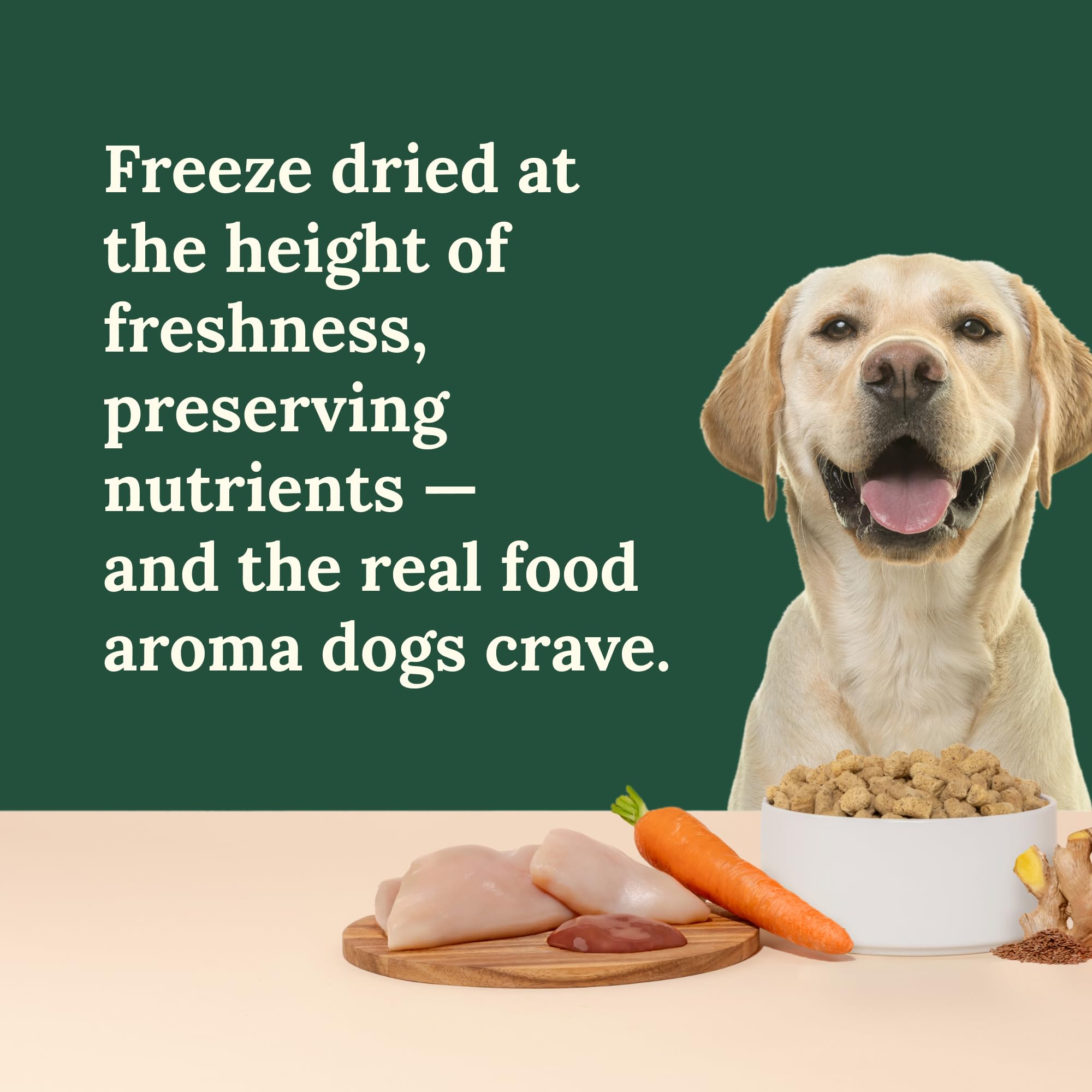 360 Pet Nutrition - sans céréales, idéal pour chiens sensibles.