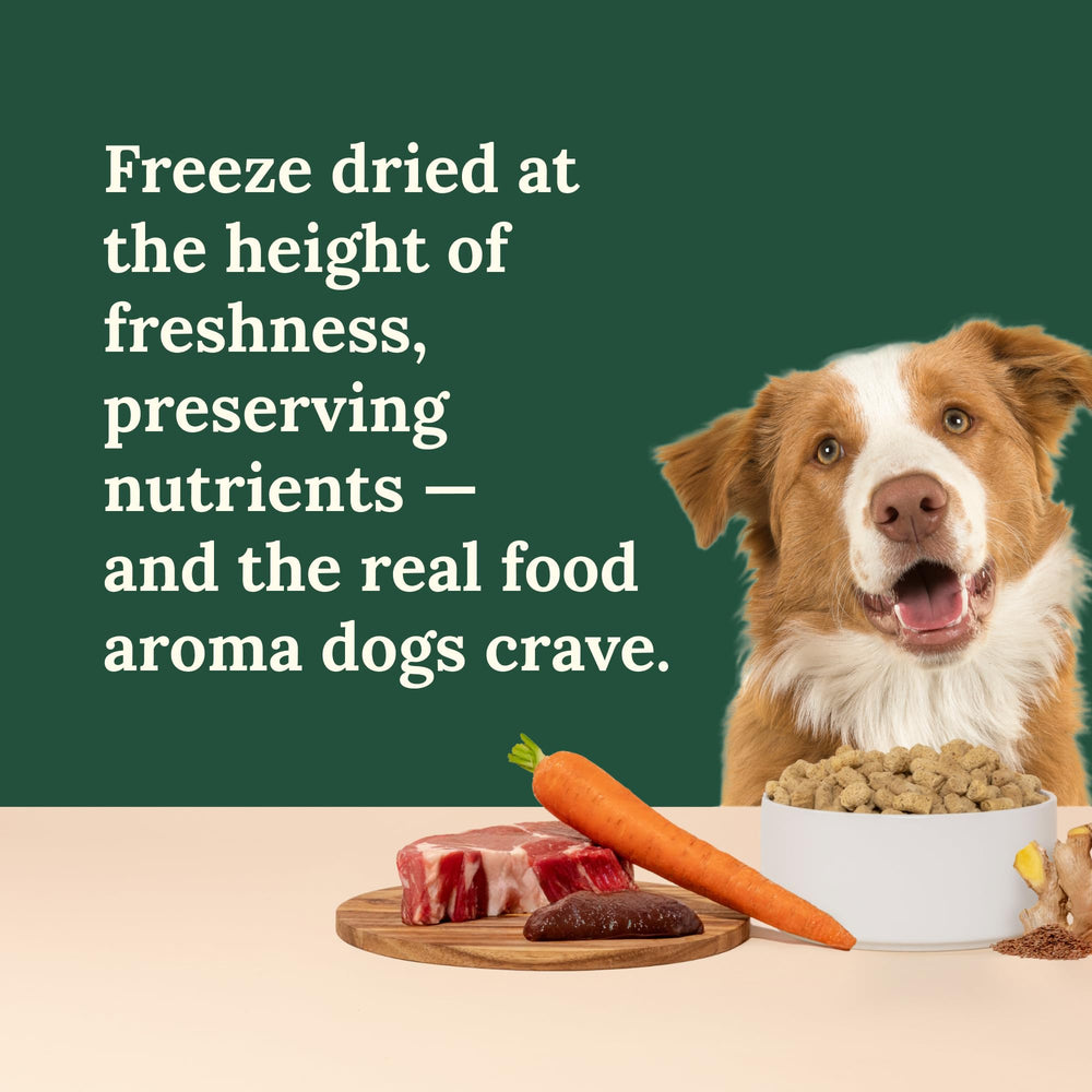 360 Pet Nutrition sans conservateurs artificiels pour alimentation naturelle