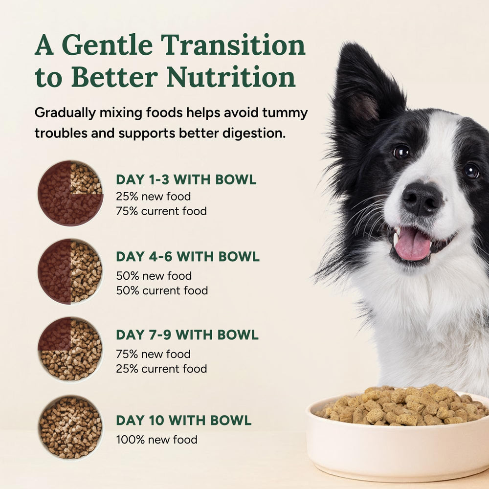 360 Pet Nutrition - morceaux adaptés à toutes les tailles de chiens.