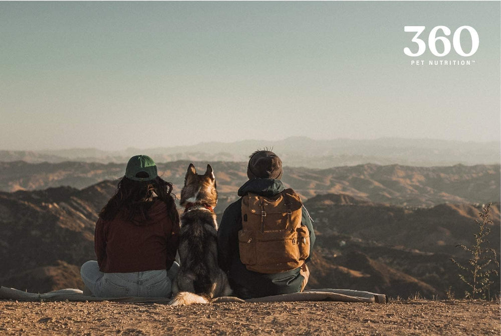 360 Pet Nutrition format prêt à donner sans réhydratation durant les sorties.