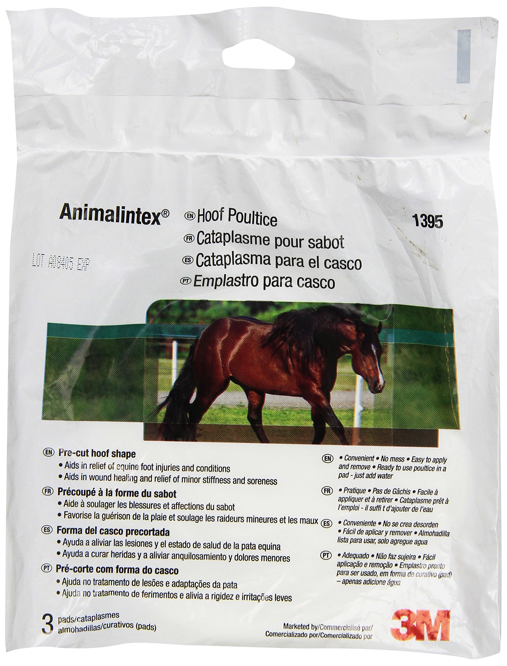 3M Animalintex tampons pour sabot - soulagement ciblé des irritations et plaies mineures