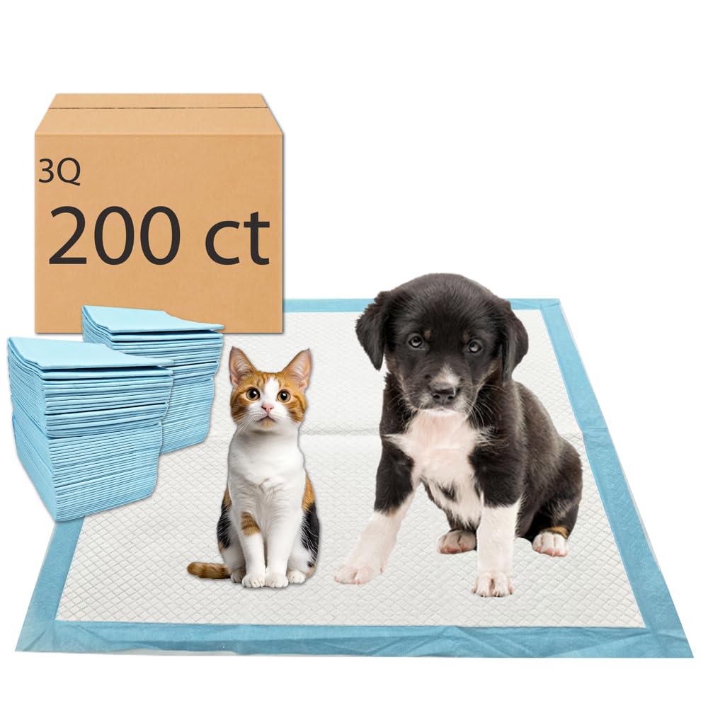 Tapis-pipi 3Q pour chiots, 22x22 pouces, pratique pour entraînement.