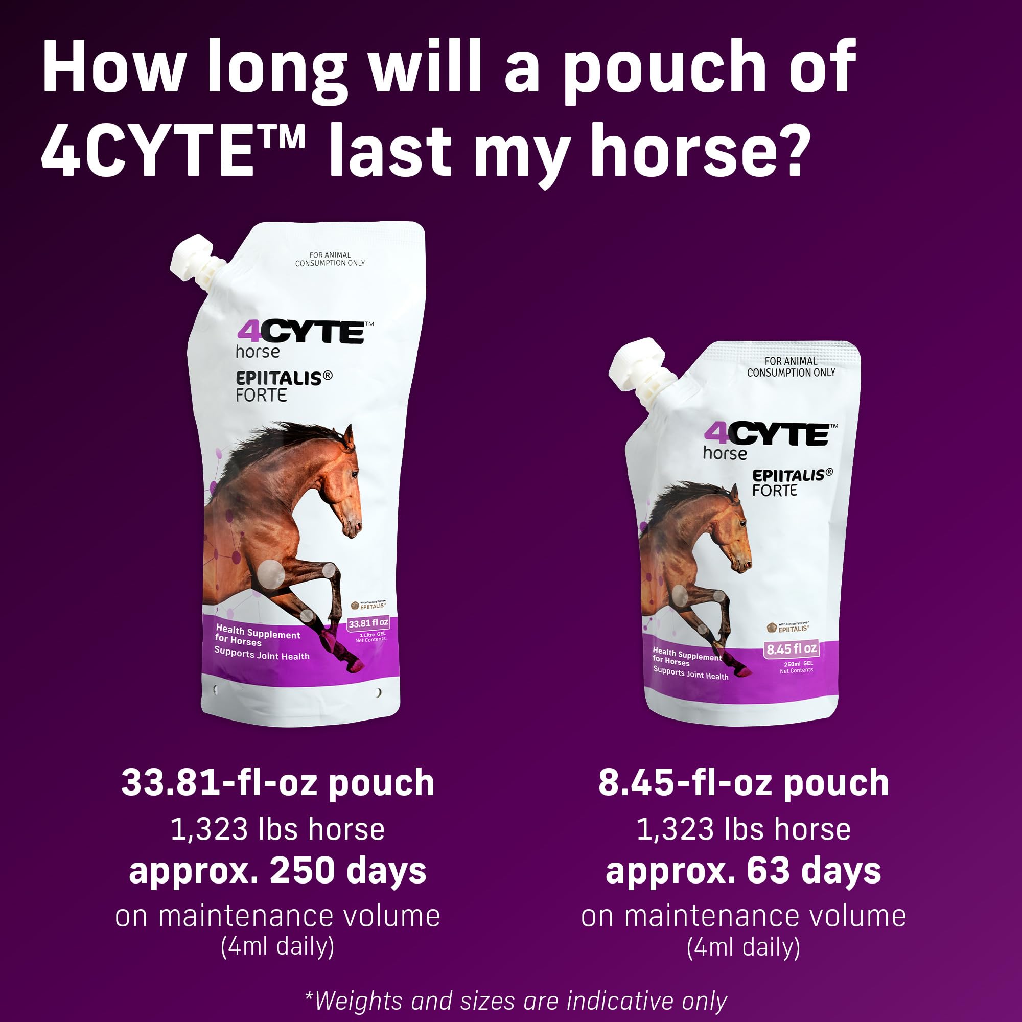 4CYTE Epiitalis Forte – cheval-mobilite en action, image représentant l’usage quotidien.
