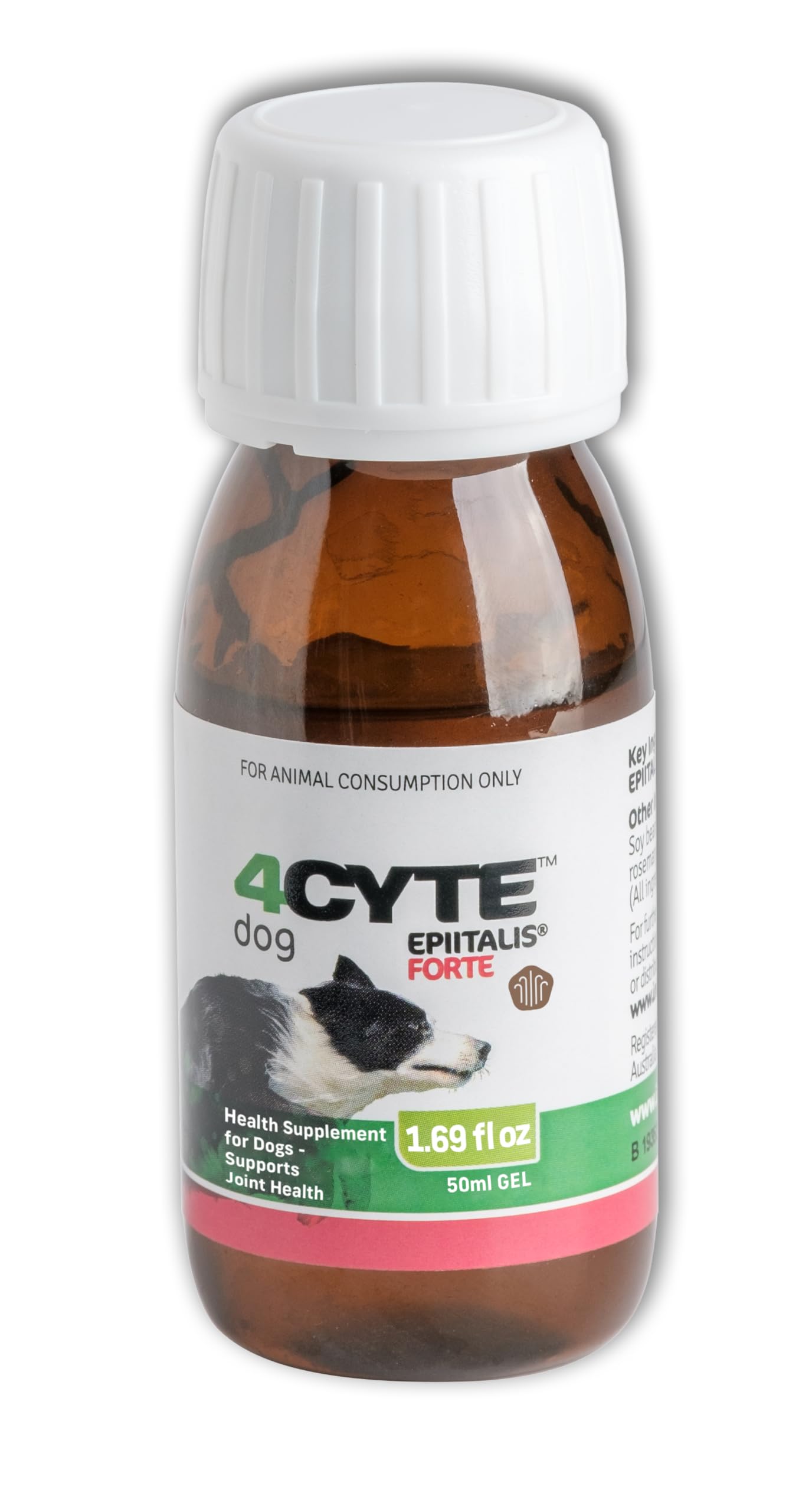 4CYTE Epiitalis Forte Gel – application pratique pour chiens et mobilité quotidienne.